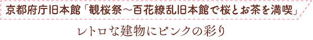 京都府庁旧本館「観桜祭〜百花繚乱 旧本館で桜とお茶を満喫」／レトロな建物にピンクの彩り