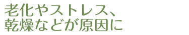 老化やストレス、乾燥などが原因に