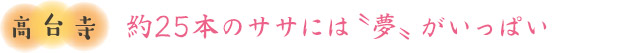 高台寺／約25本のササには〝夢〟がいっぱい