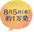 8月5日（水）約1万発