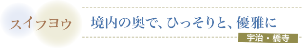 スイフヨウ／境内の奥で、ひっそりと、優雅に／宇治・橋寺