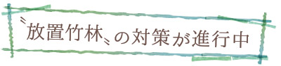 〝放置竹林〟の対策が進行中