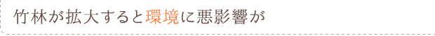 竹林が拡大すると環境に悪影響が