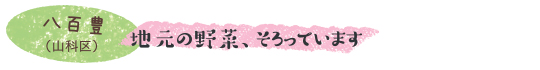 地元の野菜、そろっています　八百豊（山科区）