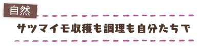 自然　サツマイモ収穫も調理も自分たちで