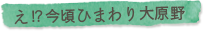 え！？今頃ひまわり大原野