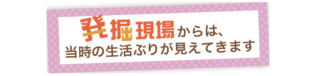 発掘現場からは、当時の生活ぶりが見えてきます