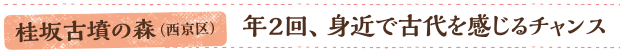 桂坂古墳の森（西京区）／年２回、身近で古代を感じるチャンス