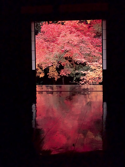 アートな紅葉狩りスポット リビング京都