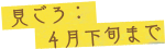 見ごろ：4月下旬まで