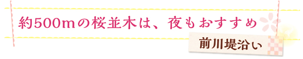 淀水路など、町のあちこちで出あえる〝河津桜〟　淀地域一帯