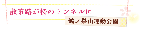 散策路が桜のトンネルに　鴻ノ巣山運動公園