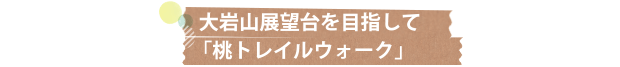 大岩山展望台を目指して「桃トレイルウォーク」