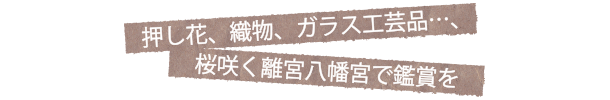 押し花、織物、ガラス工芸品…、桜咲く離宮八幡宮で鑑賞を