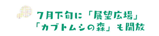 7月下旬に「展望広場」「カブトムシの森」も開放