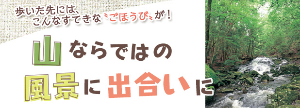 山ならではの風景に出合いに