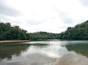 ぐるっと雑木林に囲まれている沢ノ池は、秘境のような趣が感じられます