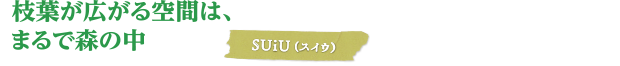 枝葉が広がる空間は、まるで森の中/ＳＵｉＵ (スイウ）