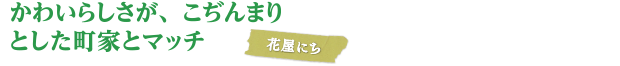 かわいらしさが、こぢんまりとした町家とマッチ/花屋にち