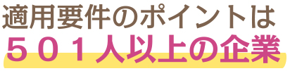 適用要件のポイントは５０１人以上の企業