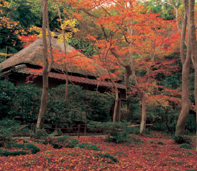 祇王寺