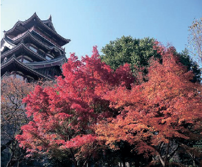 伏見桃山城運動公園