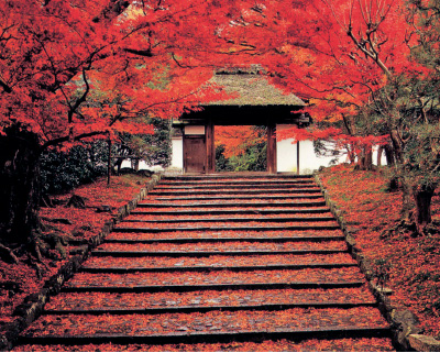 安楽寺