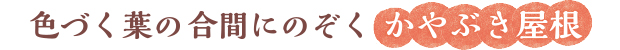 色づく葉の合間にのぞくかやぶき屋根