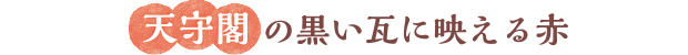 天守閣の黒い瓦に映える赤