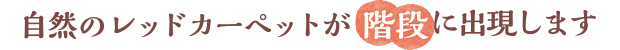 自然のレッドカーペットが階段に出現します