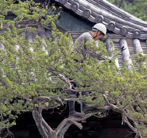 高台寺庭園