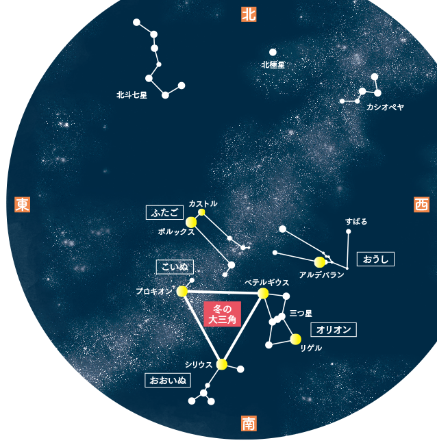 1等星もキラリ！　澄んだ空気のなかで楽しむ冬の星座