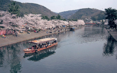 宇治川さくらまつり