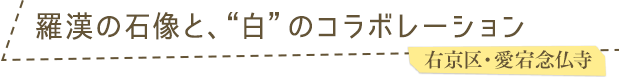 羅漢の石像と、“白”のコラボレーション／右京区・愛宕念仏寺