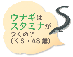 ウナギはスタミナがつくの？（ＫＳ・48歳）