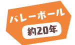 バレーボール 約20年