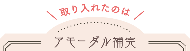 取り入れたのは、アモーダル補完