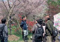 京都府立植物園