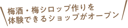 梅酒・梅シロップ作りを体験できるショップがオープン