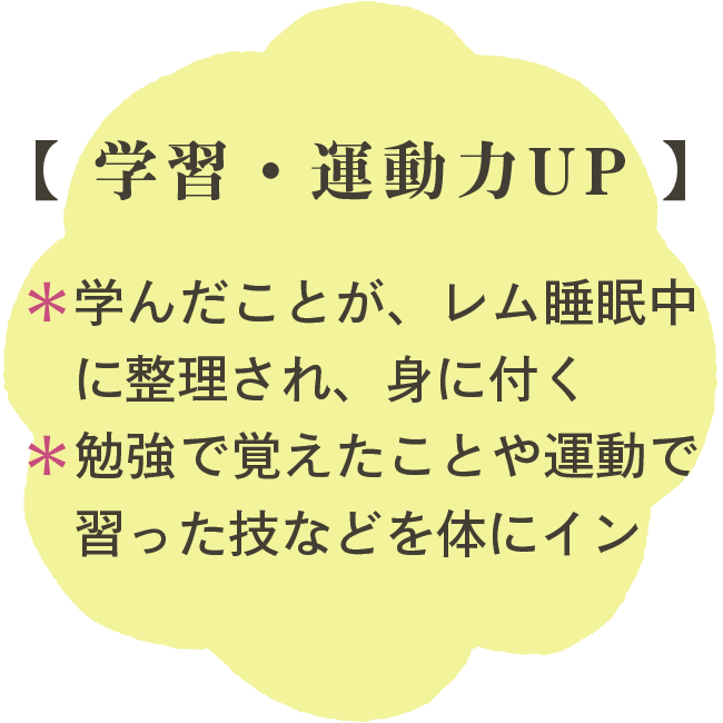 【 学習・運動力UP 】＊学んだことが、レム睡眠中に整理され、身に付く　＊勉強で覚えたことや運動で習った技などを体にイン