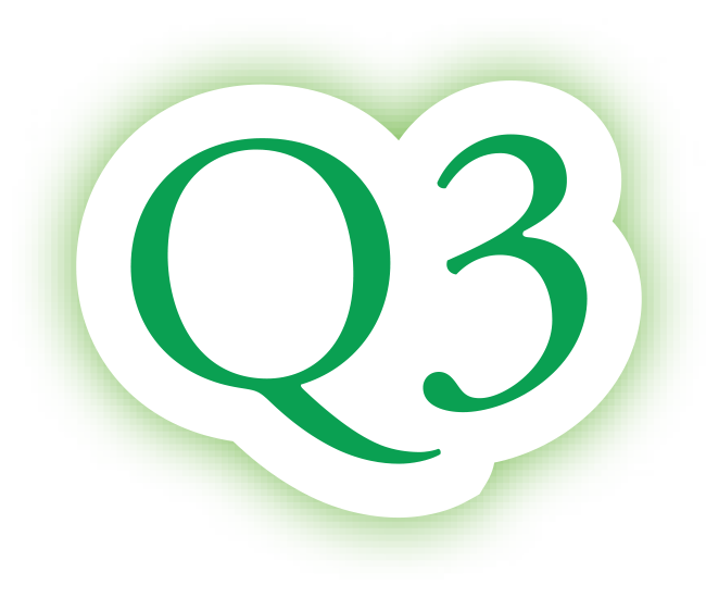 Q3