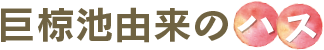 巨椋池由来のハス