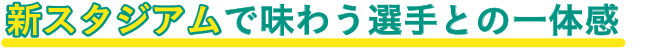 新スタジアムで味わう選手との一体感