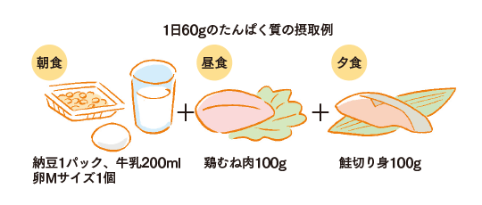 1日60gのたんぱく質の摂取例